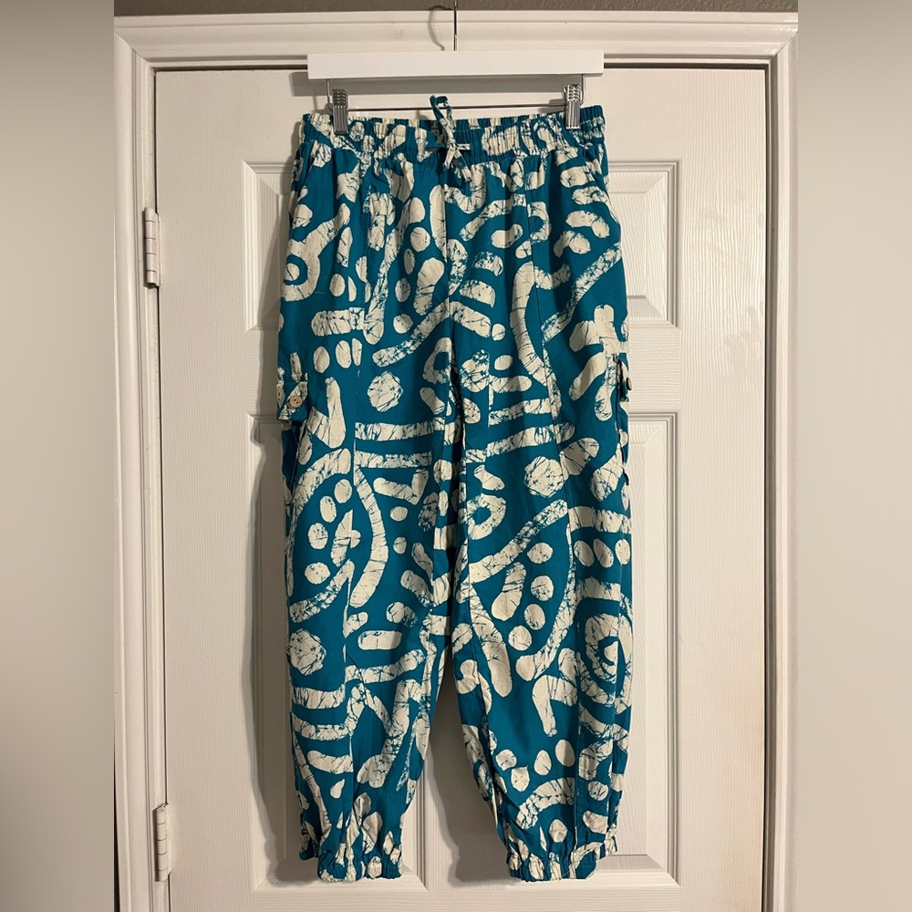 Haute Hippie Teal and Cream Pants